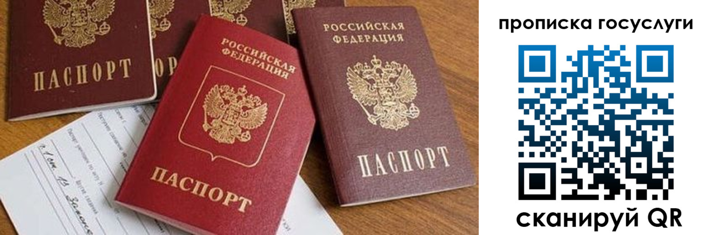 прописка ребенка в Гагарине
